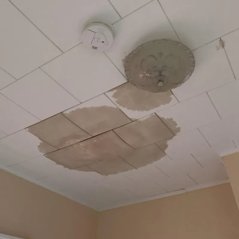 Ceiling Water Damage Repair in Fayette County, IL