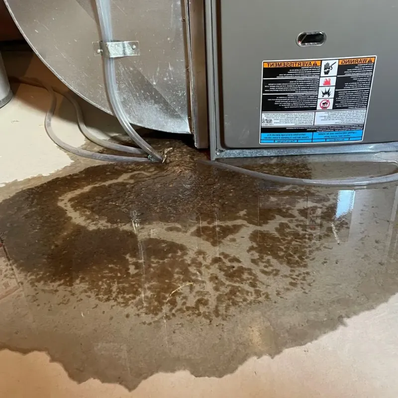 Pipe Burst and Leak Restoration in Fayette County, IL