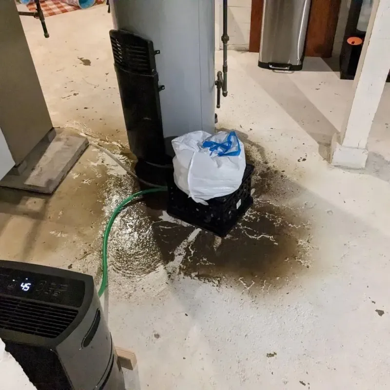 Sewage Backup Cleanup Service in Fayette County, IL